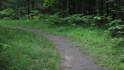 Dirt Trail Leading to Paved