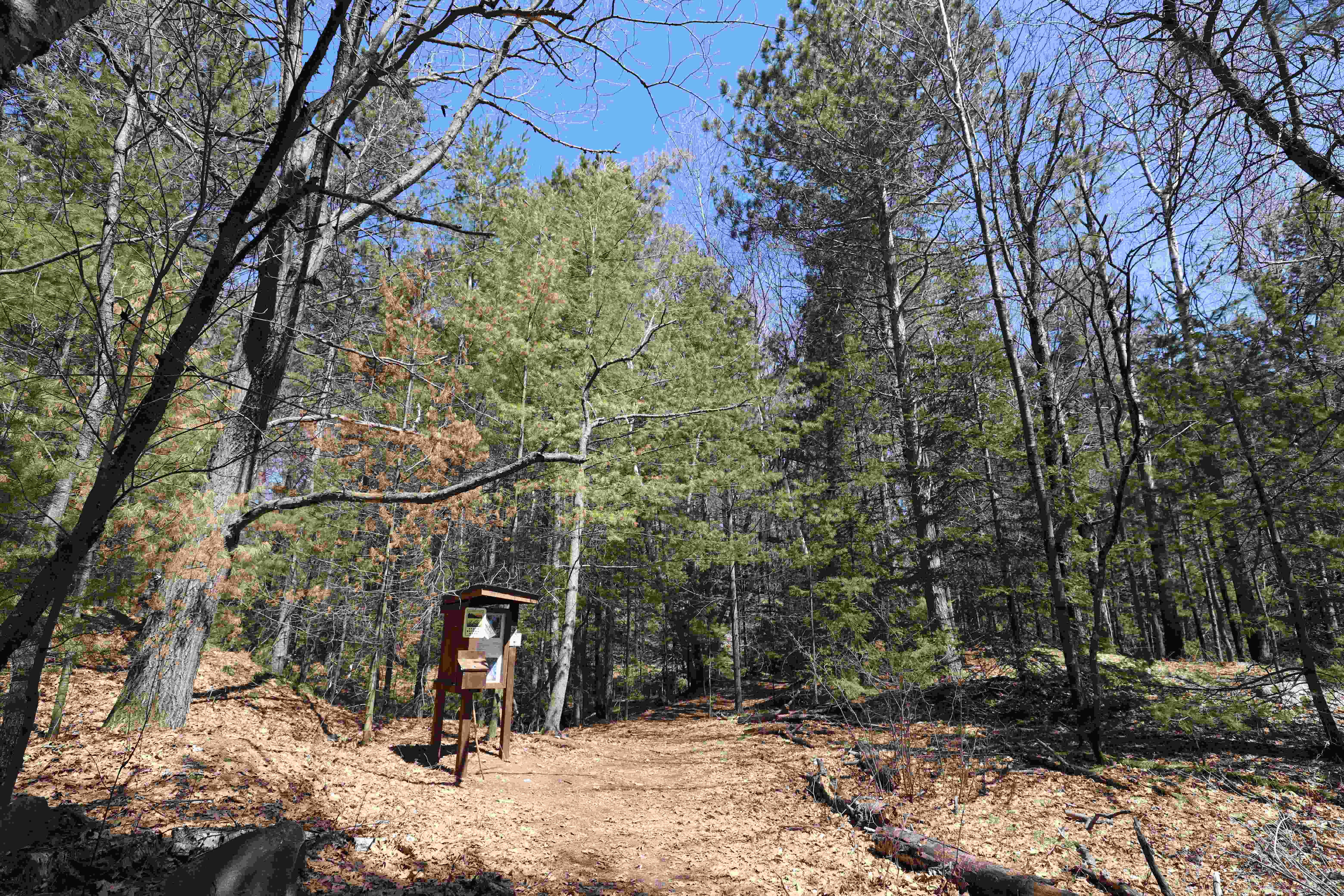 Spring day on the Holmbre Nature Trail