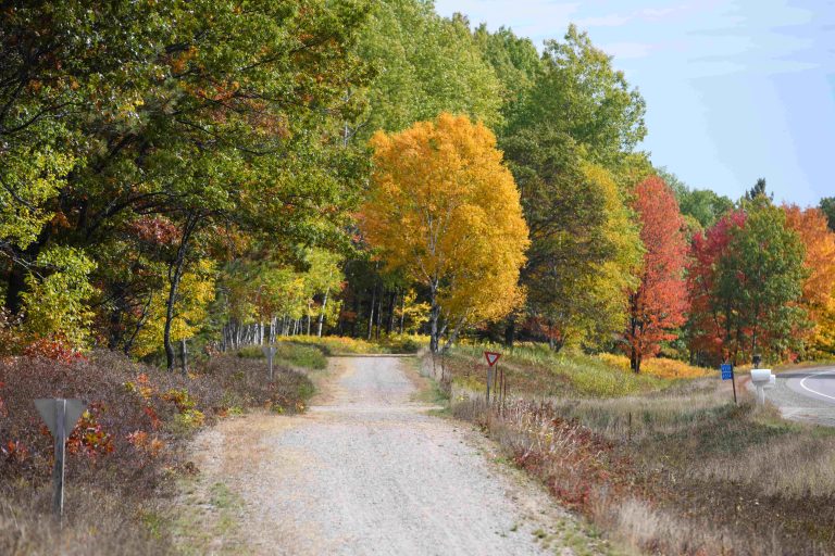 Crushed gravel trail running along side the road with trees showing autumn colors