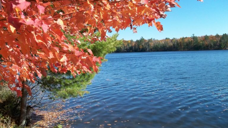 A guide to enjoying fall color in Oneida County