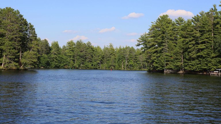 scenic water view surrounded by trees