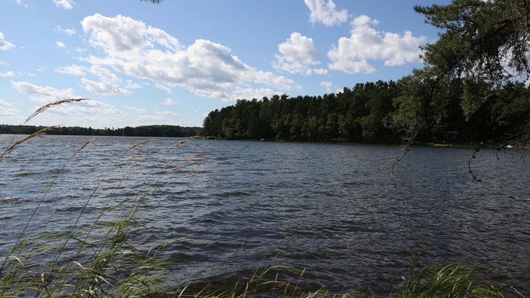scenic water view surrounded by trees
