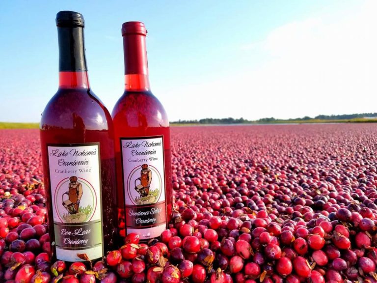 Bottles of cranberry wine sitting in a cranberry field