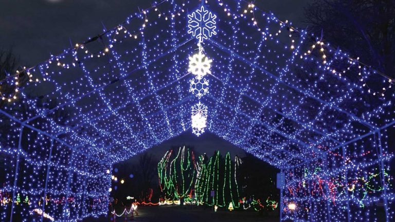 Lights on display at Lights of the Northwoods