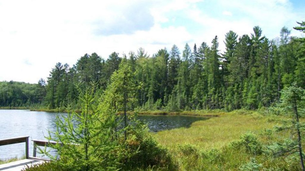 Escape To Nature’s Embrace: A Guide To American Legion State Forest