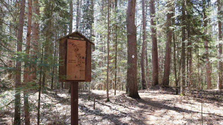 Sam Campbell Memorial Trail sign