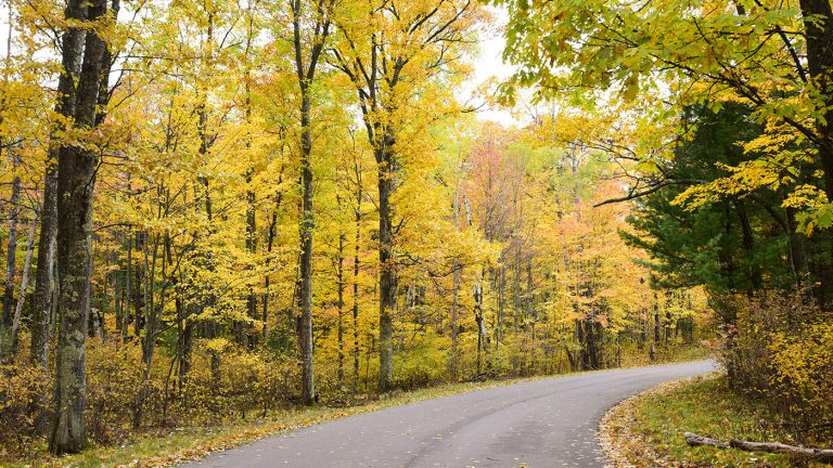Rustic Road in fall Oneida County Wisconsin