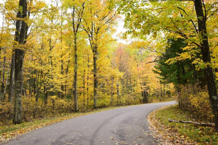 fall color drive in oneida county