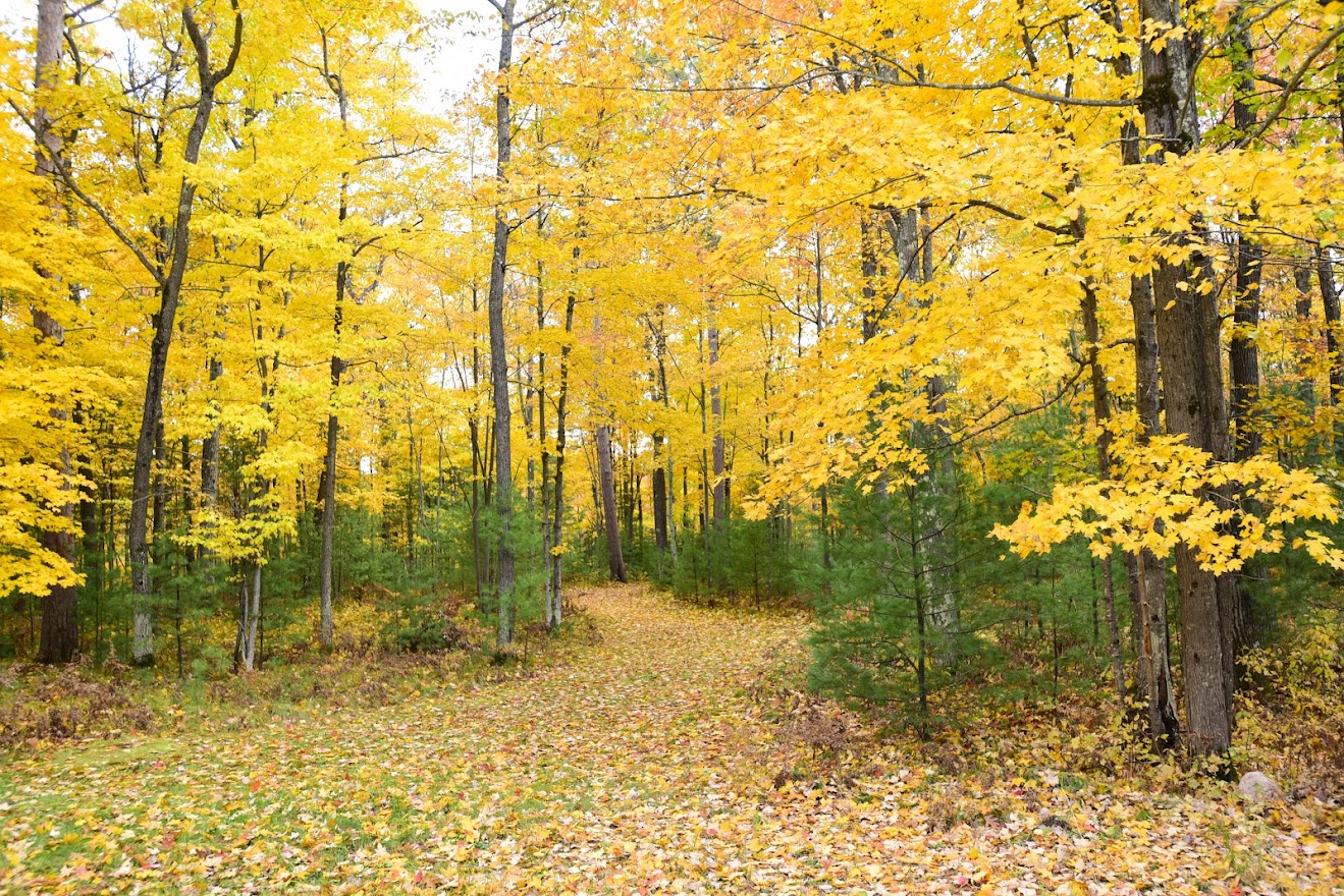 Schlecht Lake Trail Oneida County WI