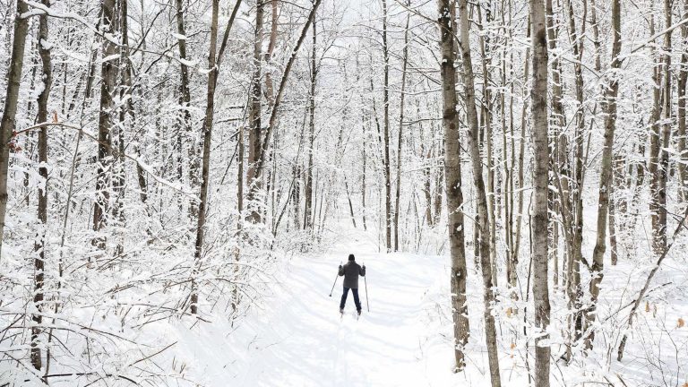 Related Article: Oneida County’s top cross-country ski trails | Cross-country skier navigating a snow covered trail surrounded by trees