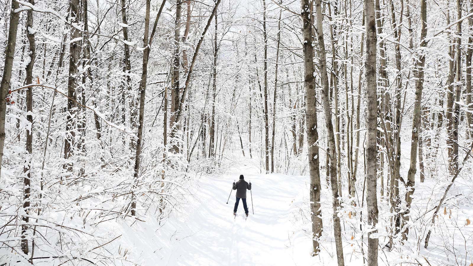Oneida County’s top cross-country ski trails | Cross-country skier navigating a snow covered trail surrounded by trees