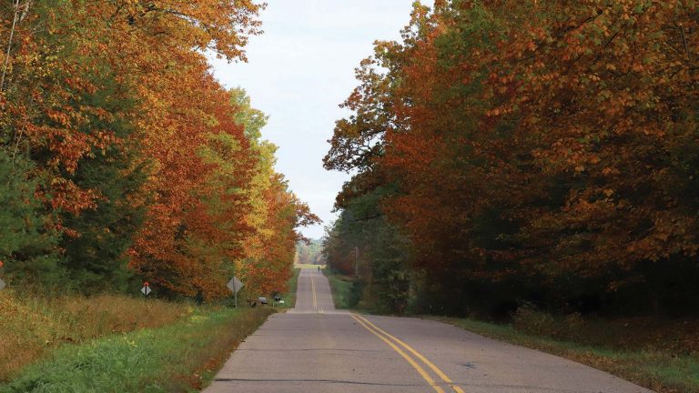 Related Article: Scenic spots in Oneida County | Scenic road with fall color trees on both sides