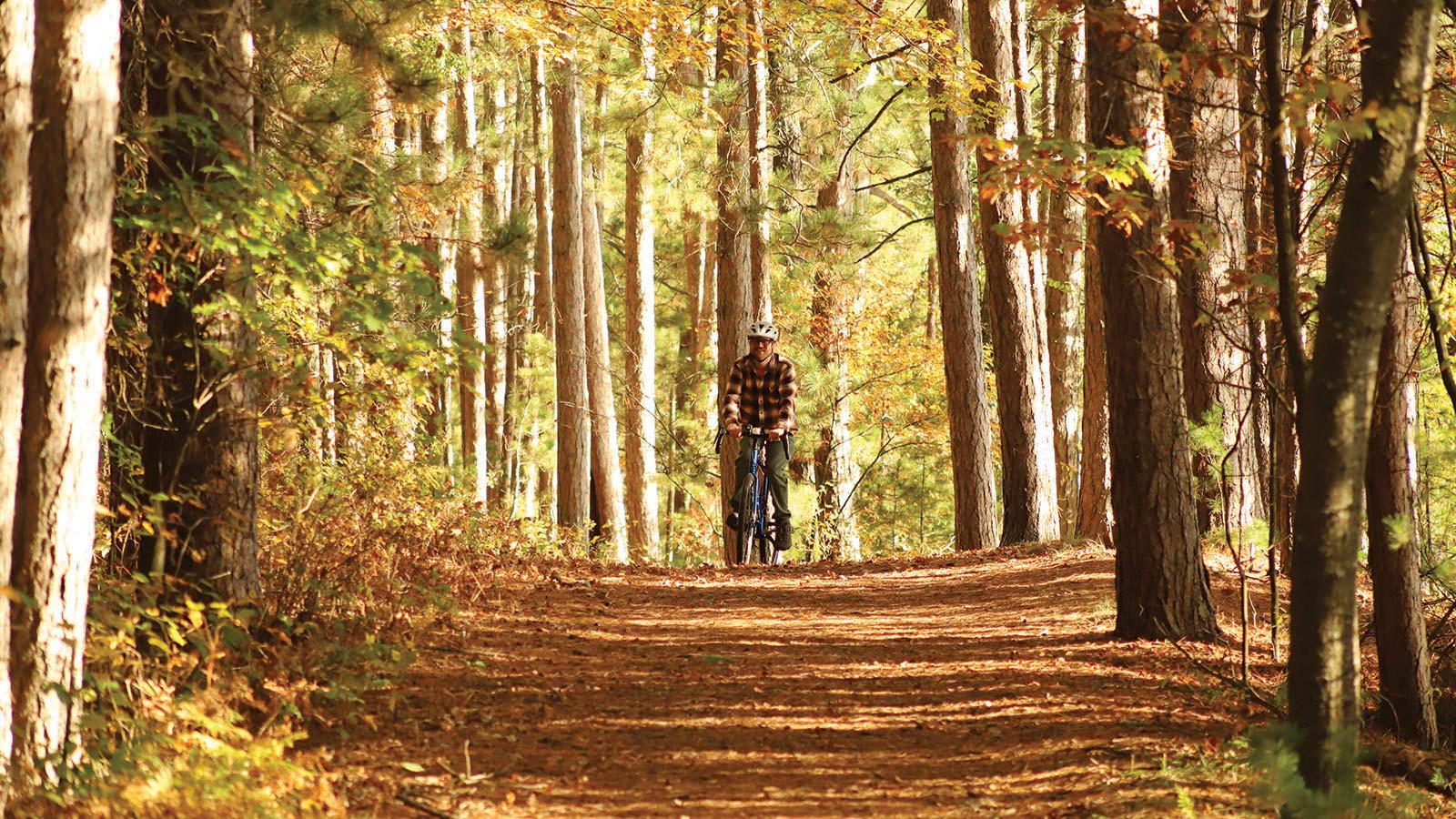Bike riding a trail surrounded by trees on a beautiful fall day