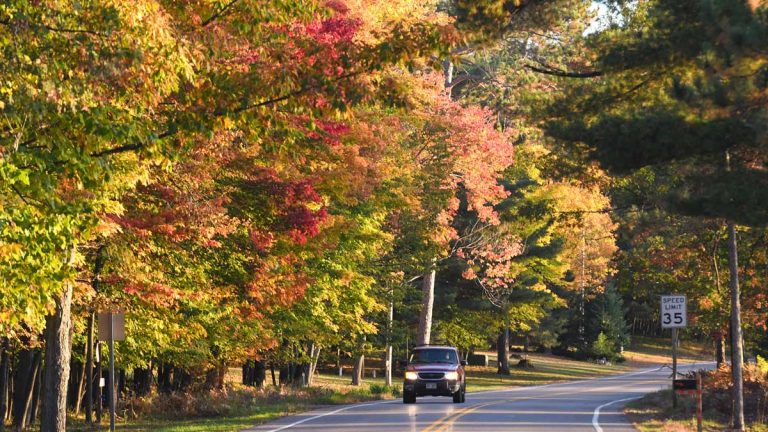Related Article: The best fall color drives in Oneida County | Car driving through forest in fall