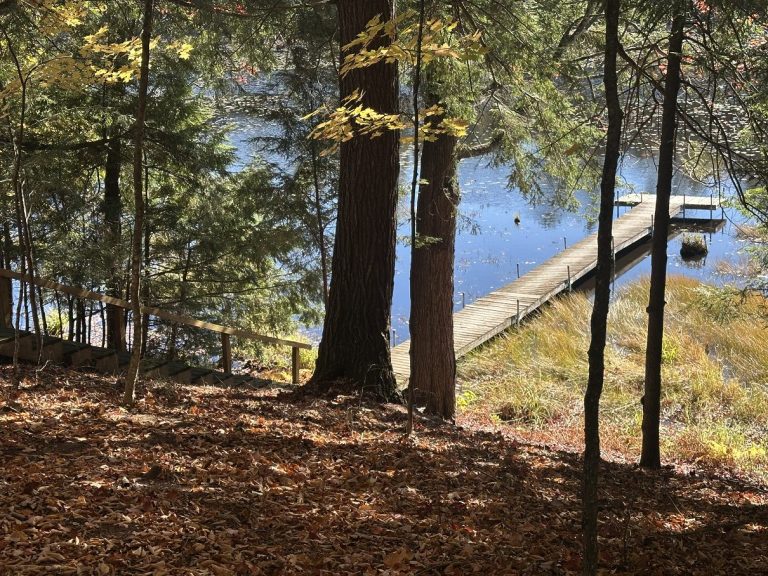 Deer Haven