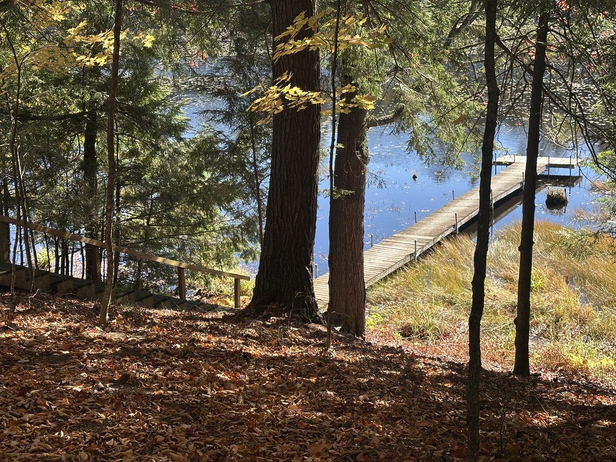 Deer Haven