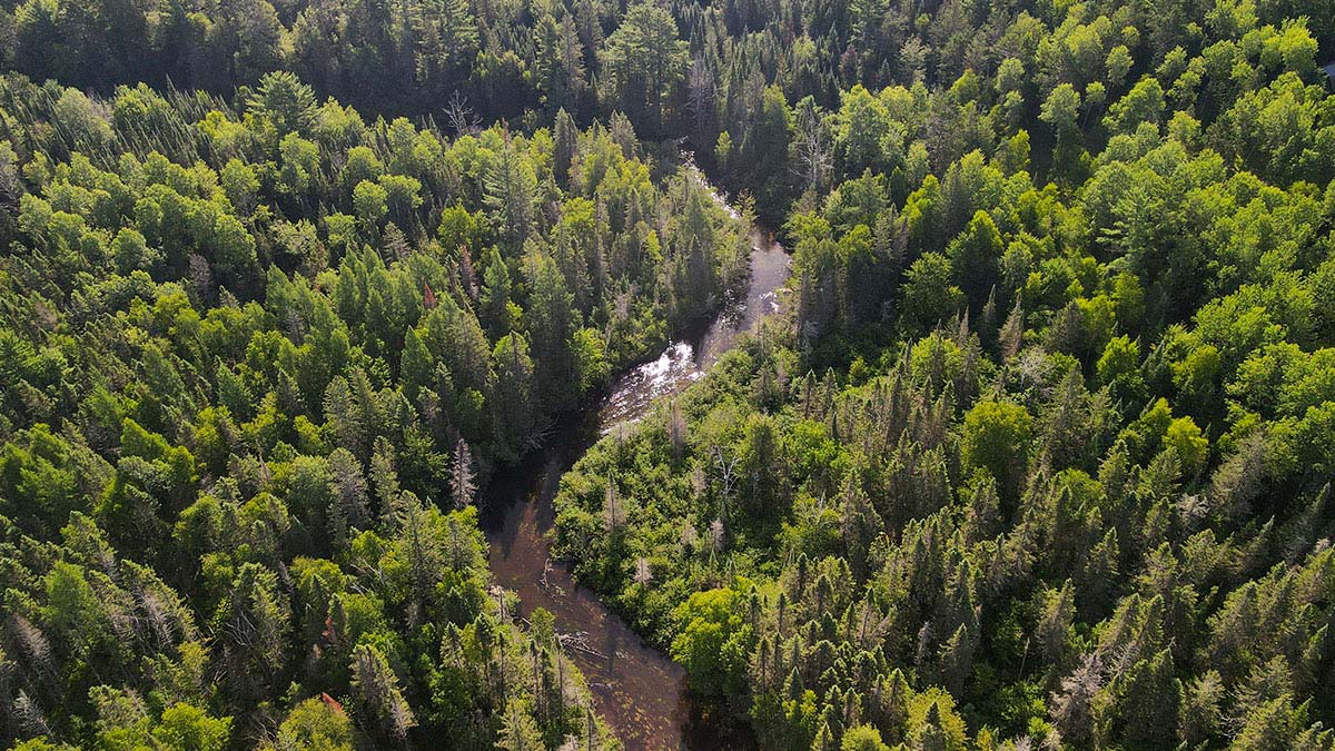Plan Your Summer Vacation to Oneida County | Aerial shot of a river winding through Bearskin State Trail