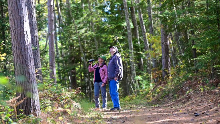 Related Article: Try these hiking and biking trails in Oneida County | Man and woman birdwatching on the Willow Flowage Nature Trail in Hazelhurst in Oneida County Wisconsin in fall