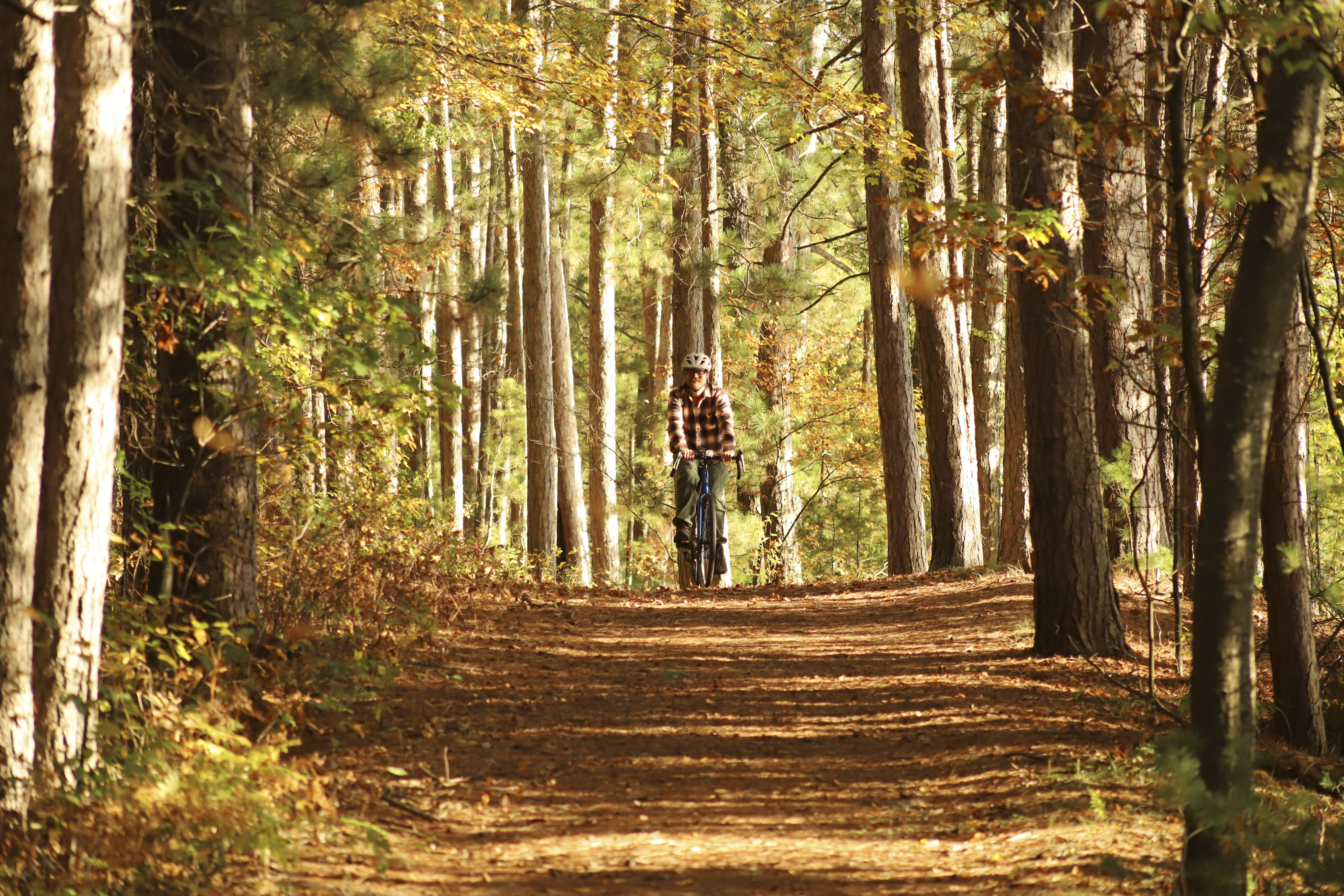 Plan Your Summer Vacation to Oneida County | Person biking on a trail in the woods during fall