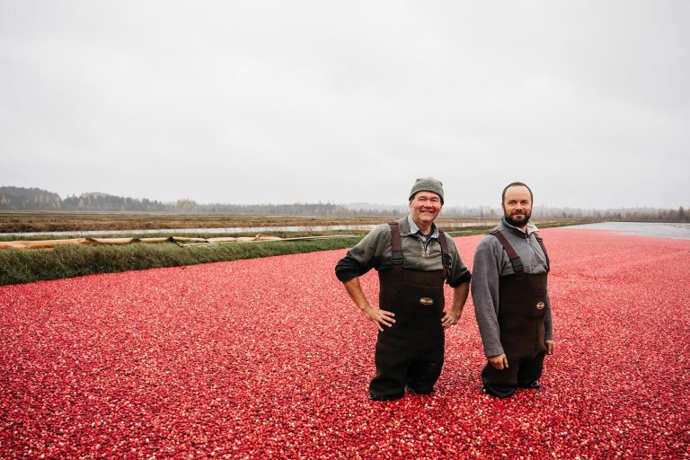 James Lake Farms Inc. | James Lake Farms Owner, John, and his son & Manager, Ben standing in cranberry marsh