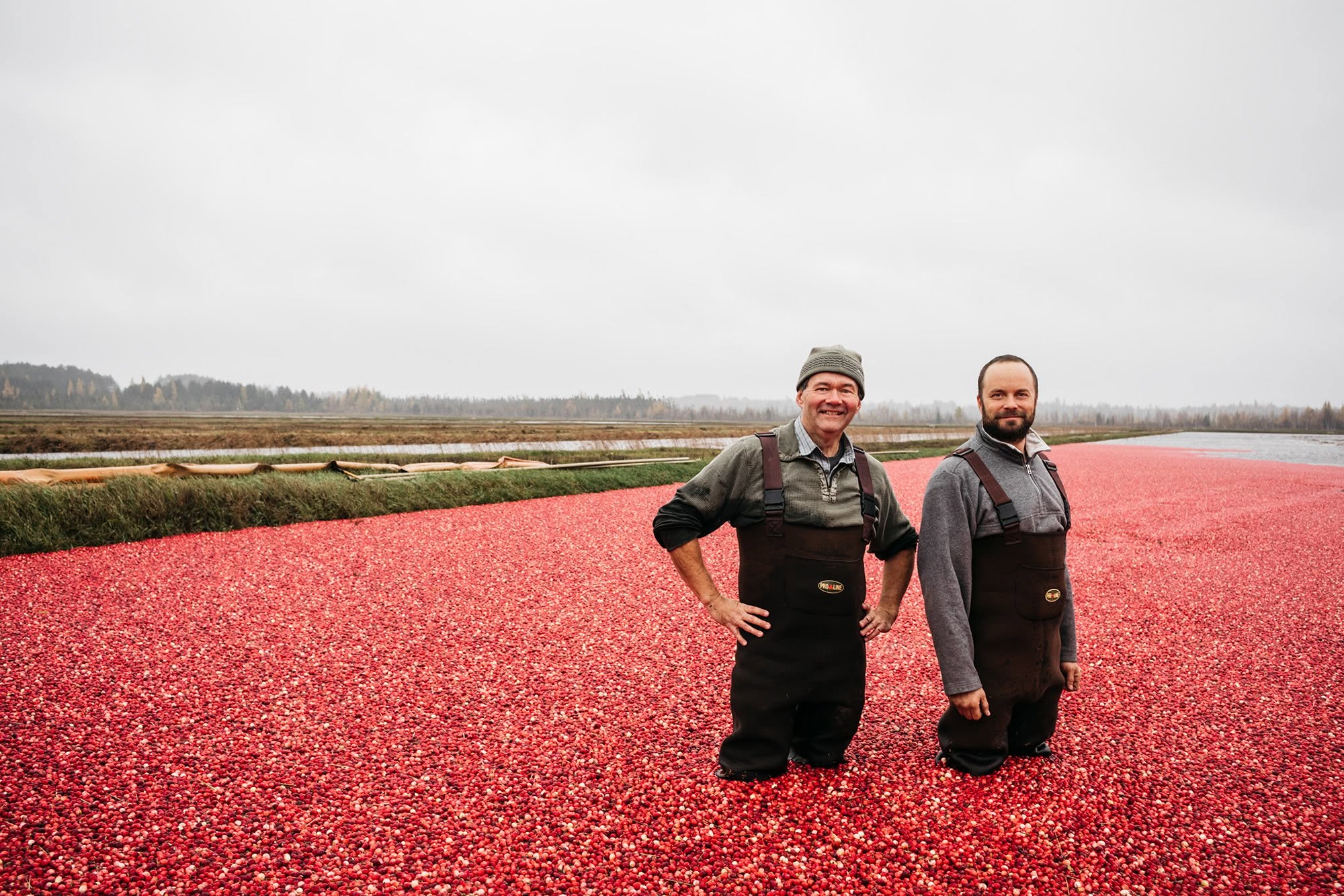 James Lake Farms Inc. | James Lake Farms Owner, John, and his son & Manager, Ben standing in cranberry marsh