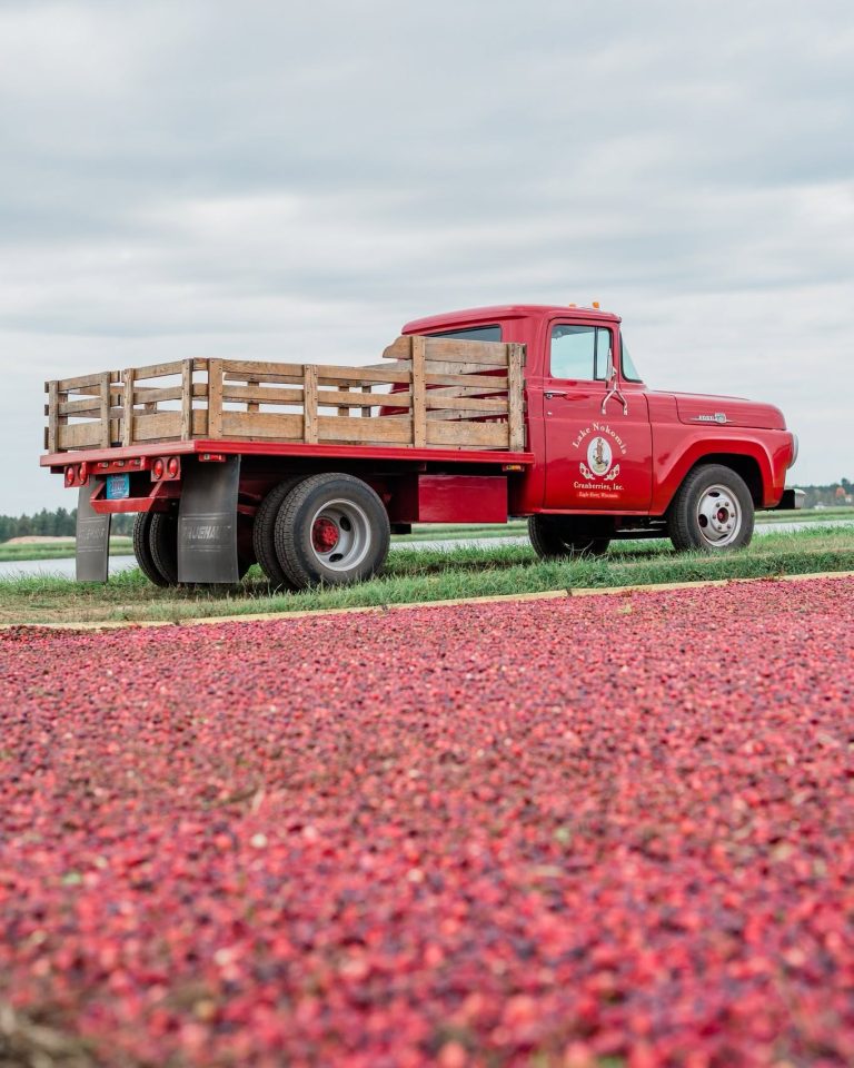 Lake Nokomis Cranberries Winery & Gift Shop | Vintage red truck parked near Lake Nokomis Cranberry Marsh