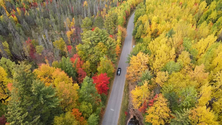Related Article: Your guide to fall color in northern Wisconsin | Drone shot of a car driving on Cedar Falls Road in Oneida County Wisconsin in the fall