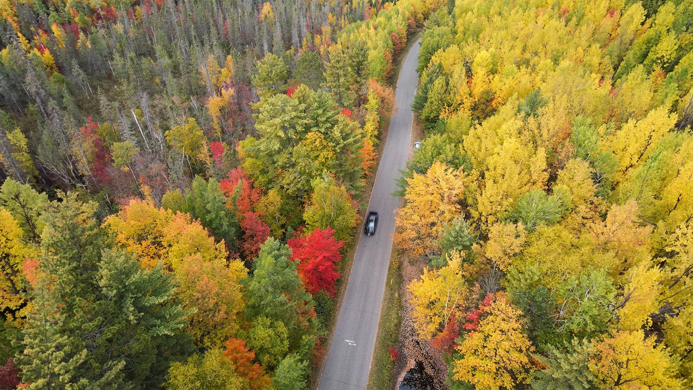 Your guide to fall color in northern Wisconsin | Drone shot of a car driving on Cedar Falls Road in Oneida County Wisconsin in the fall